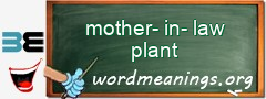 WordMeaning blackboard for mother-in-law plant